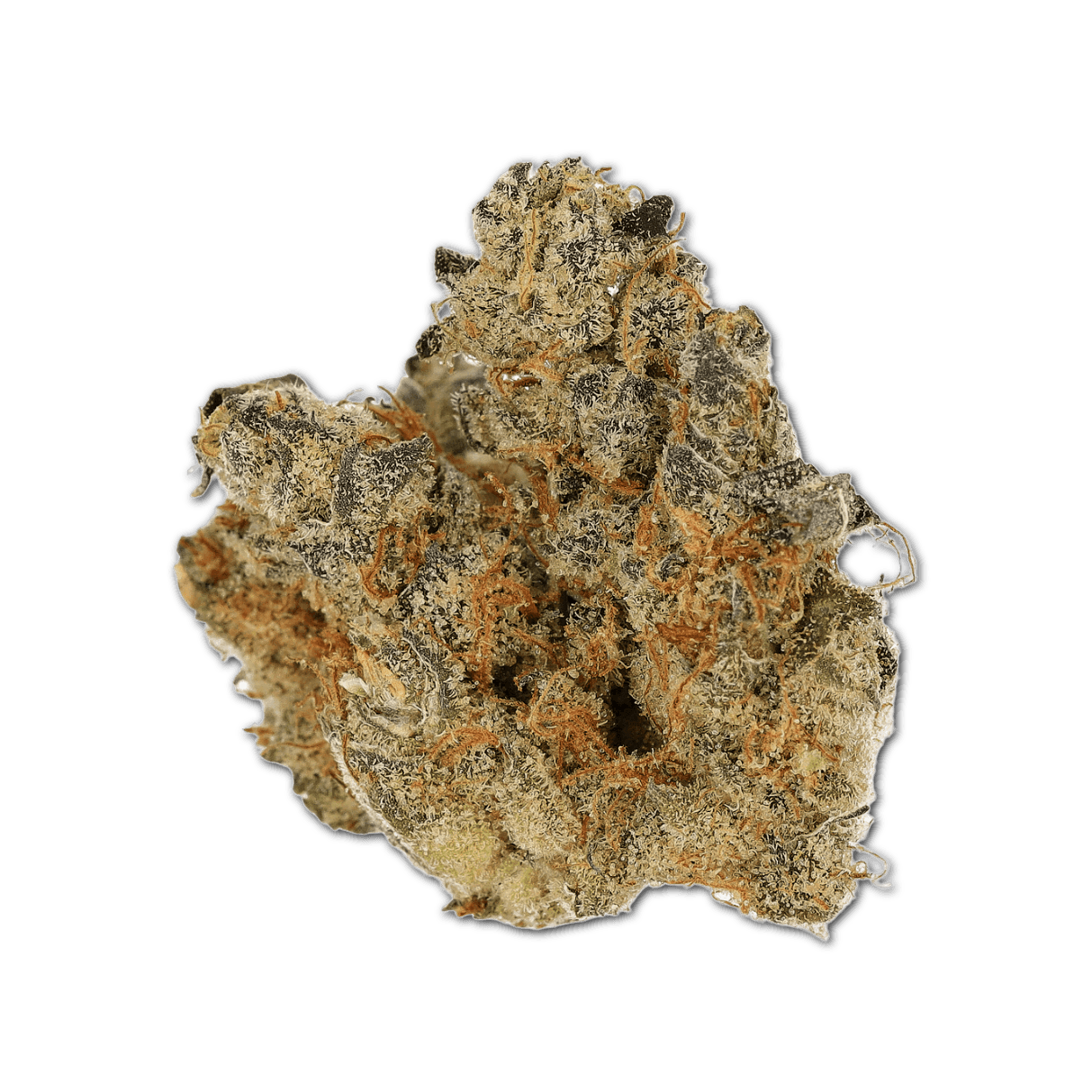 Cannamedical CM 31/1 SPC Space Cake