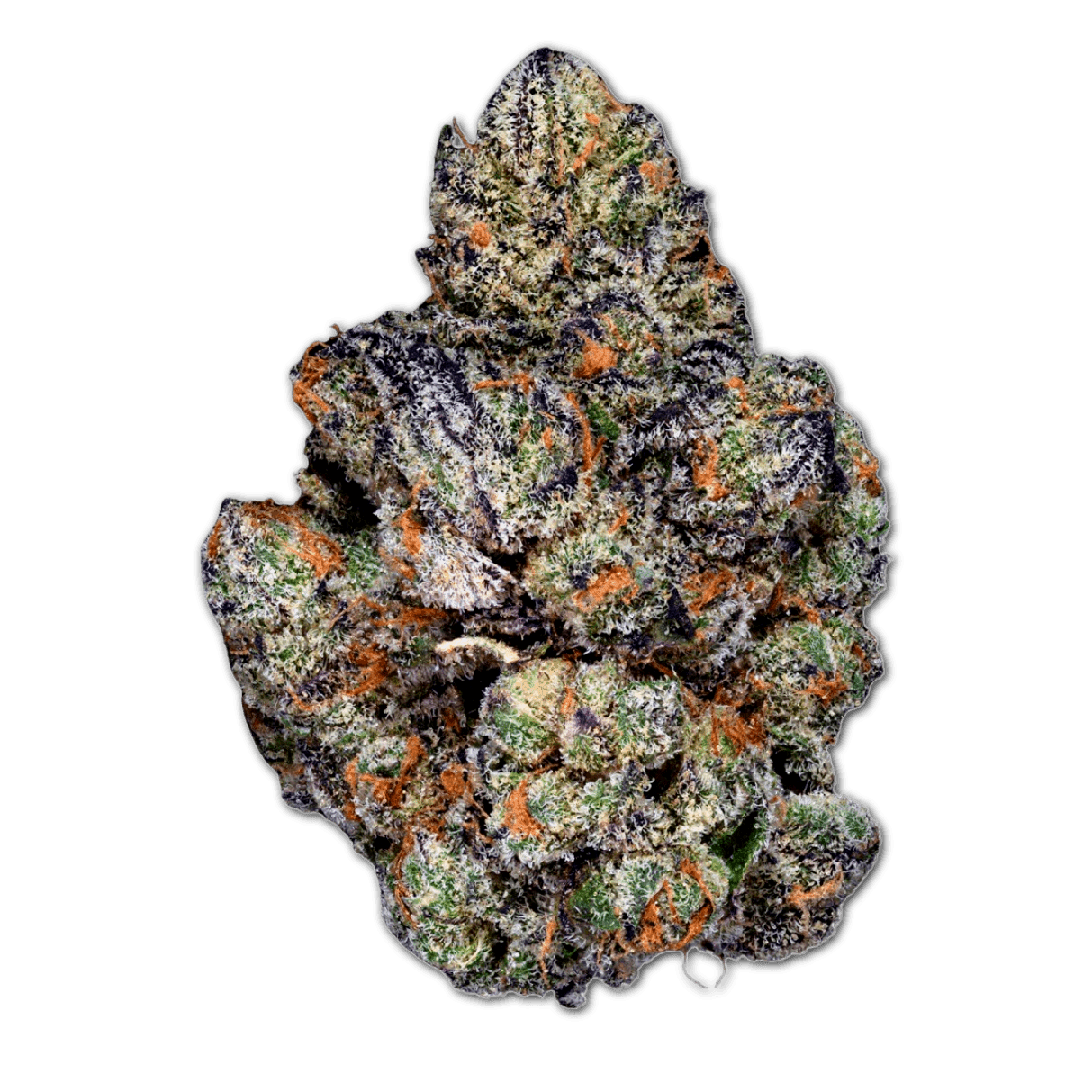 aleph purple 26/1 Straight Candy Gas