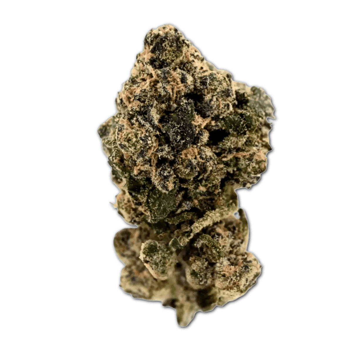 Tilray CRAFT THC22 SNS Sunset Sherbet