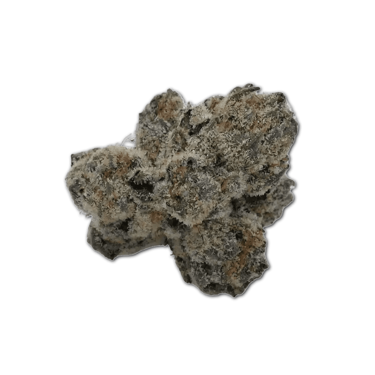 Barongo 26/1 LAX Sunset Strudel