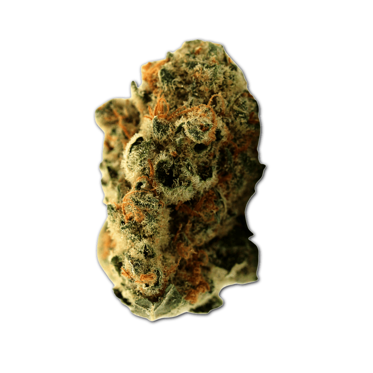 Demecan 22:01 Florestura Super Haze X Amnesia