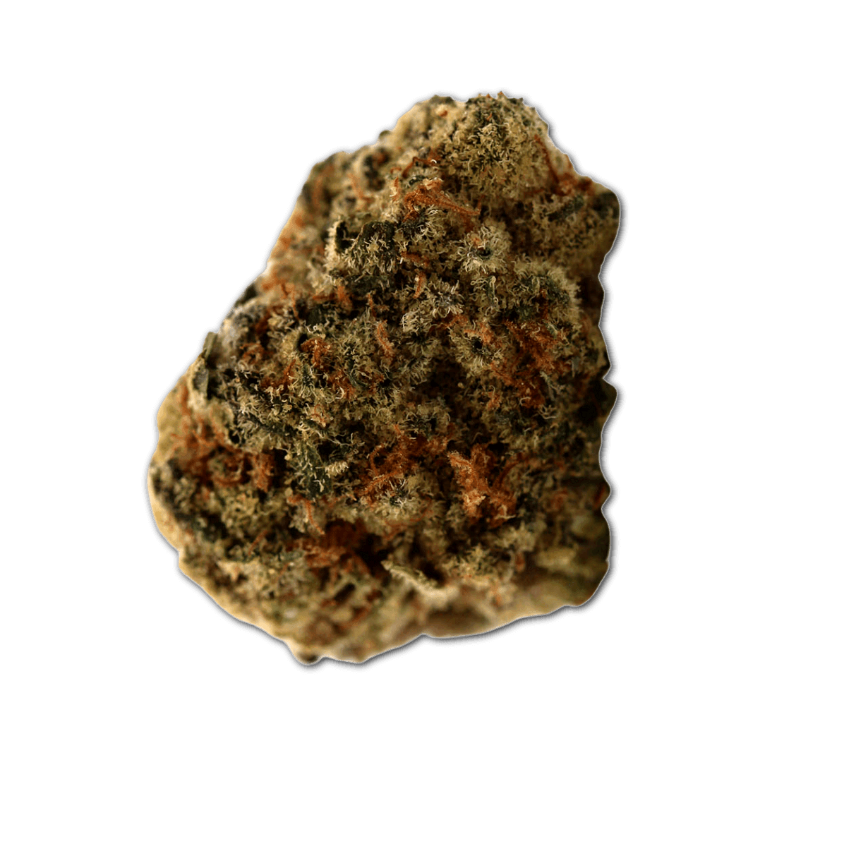 Demecan 27:01 Petaluma Tally Man