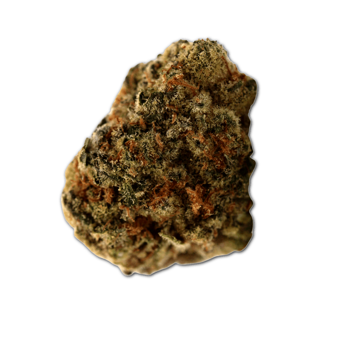 Demecan 27:01 Petaluma Tally Man