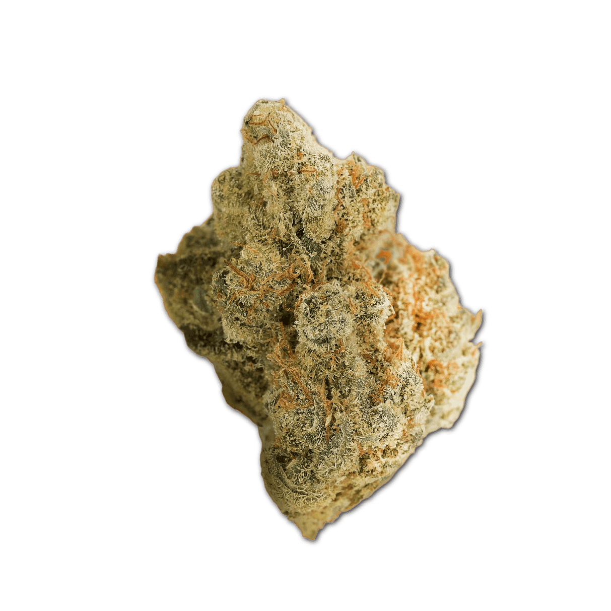 Cannamedical Indica Forte BC Tangerine Boost