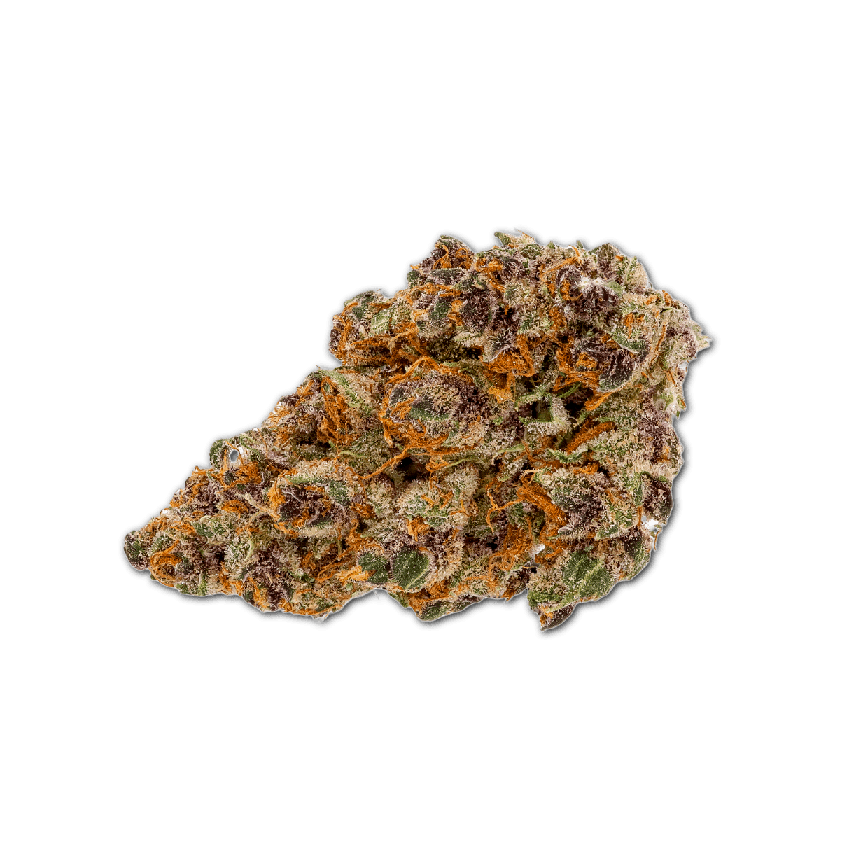 Pedanios 14/1 TNG-CA Tangerine Dream