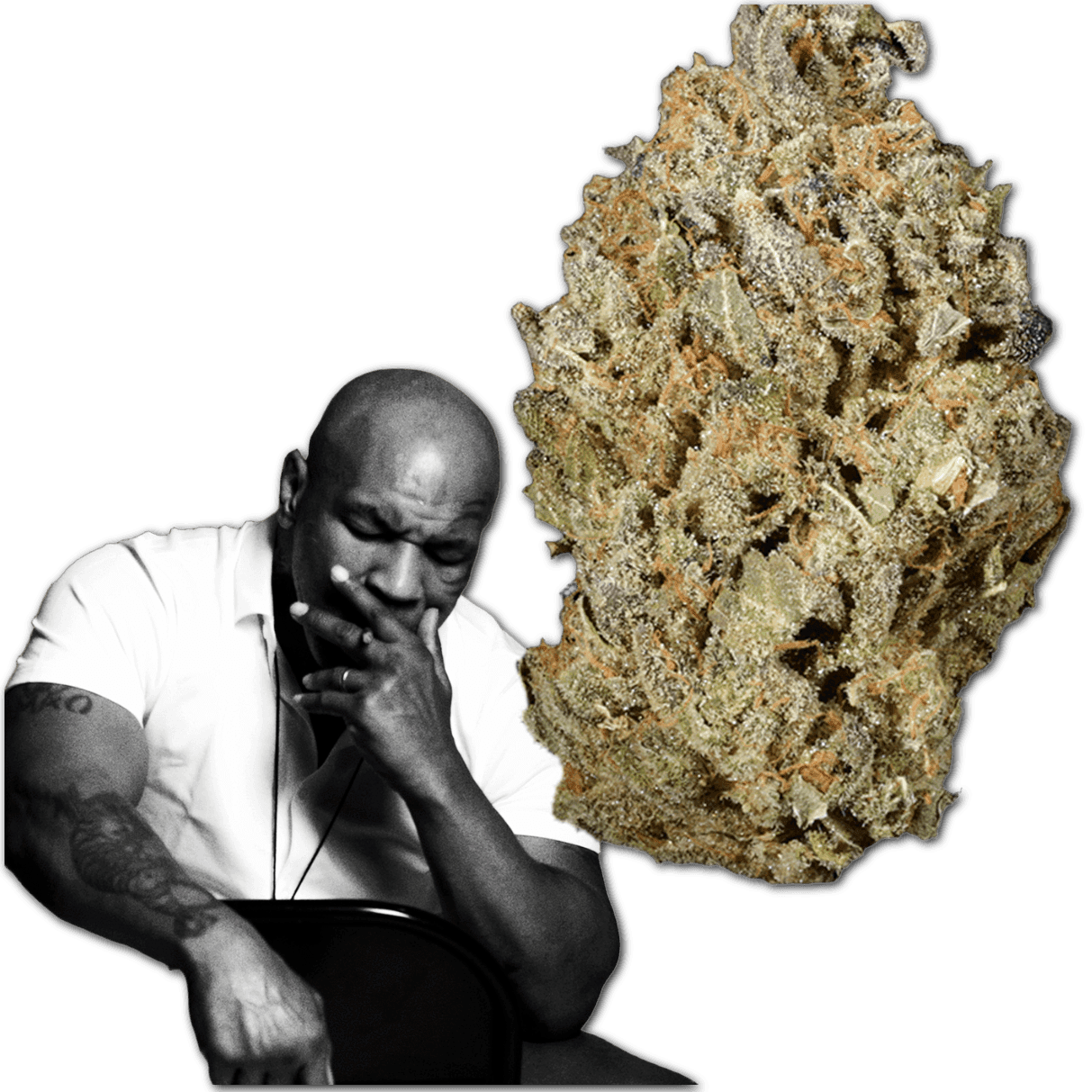 TYSON 2.0 30/1 Tiger Milk