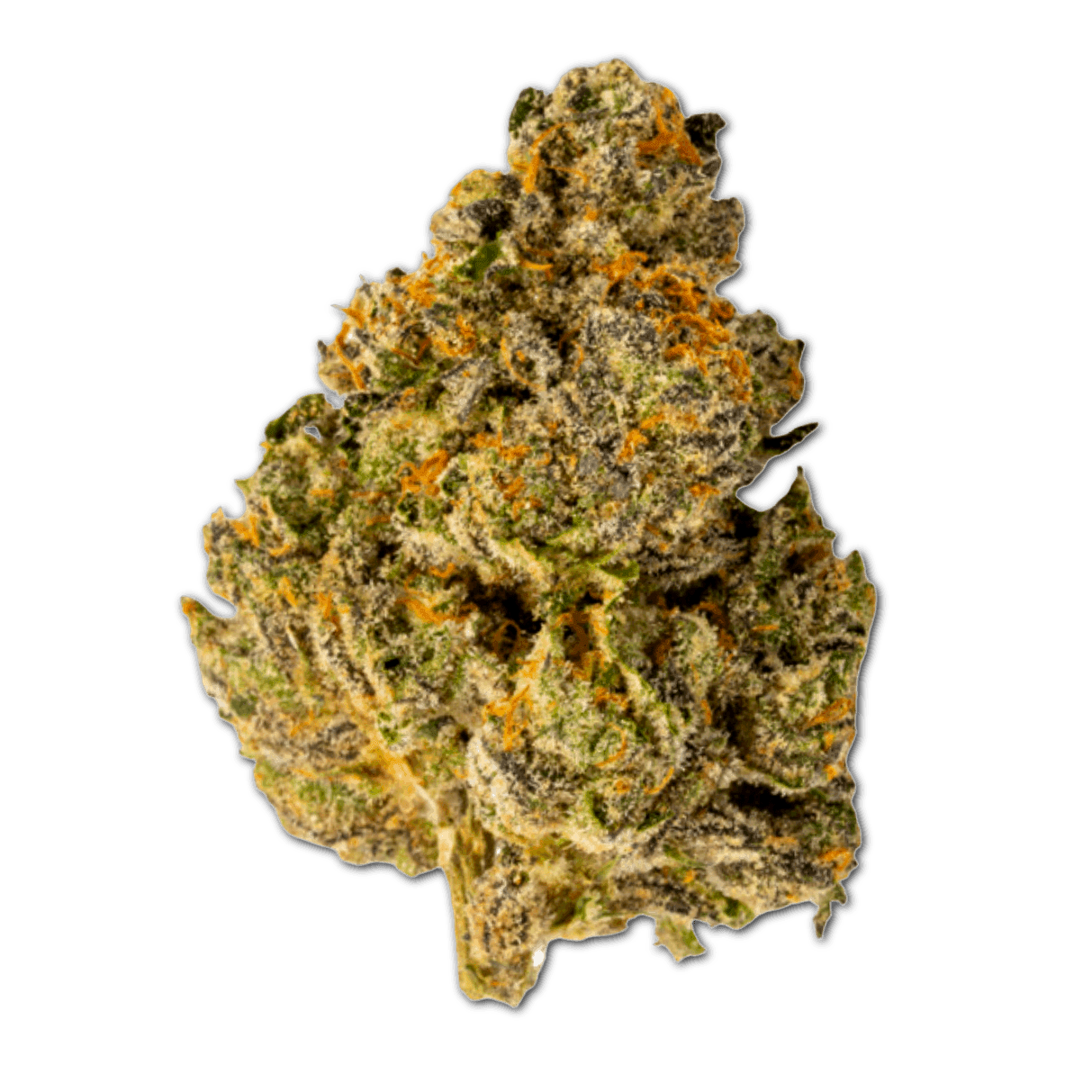 420 Compound 20/1 PT TGY Tigerz Eye