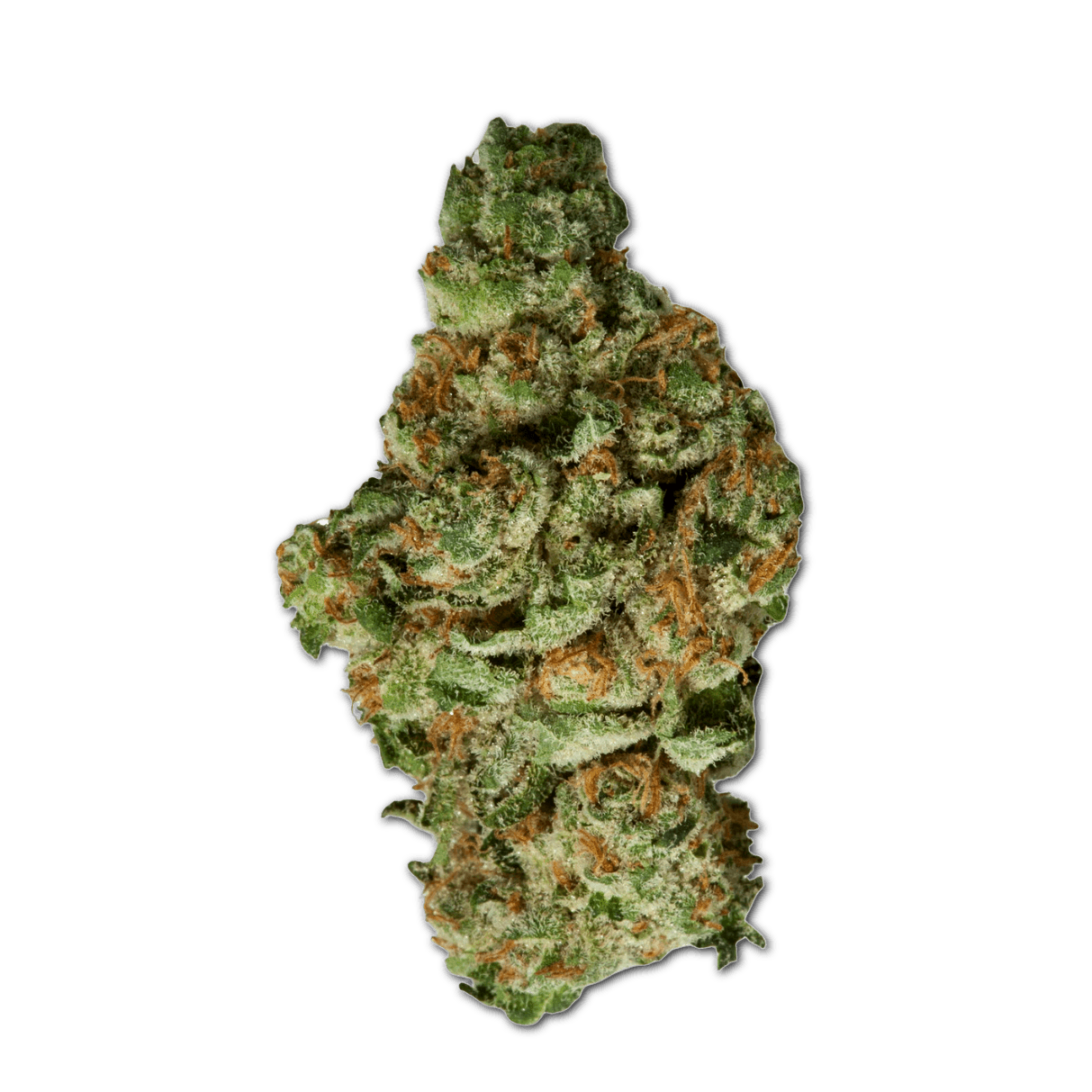 420 Natural 30/1 CA TGO Triangle Octane