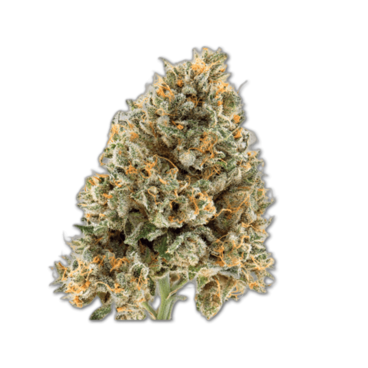 IMC RC6 THC20 Tropic Smash