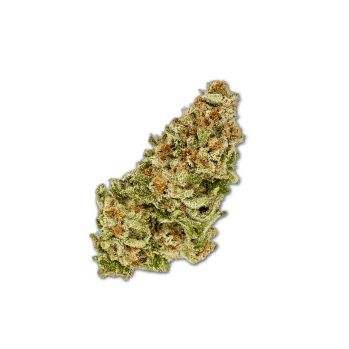 Demecan Core Sunshine Pure 27:01 Tropicana Cookies