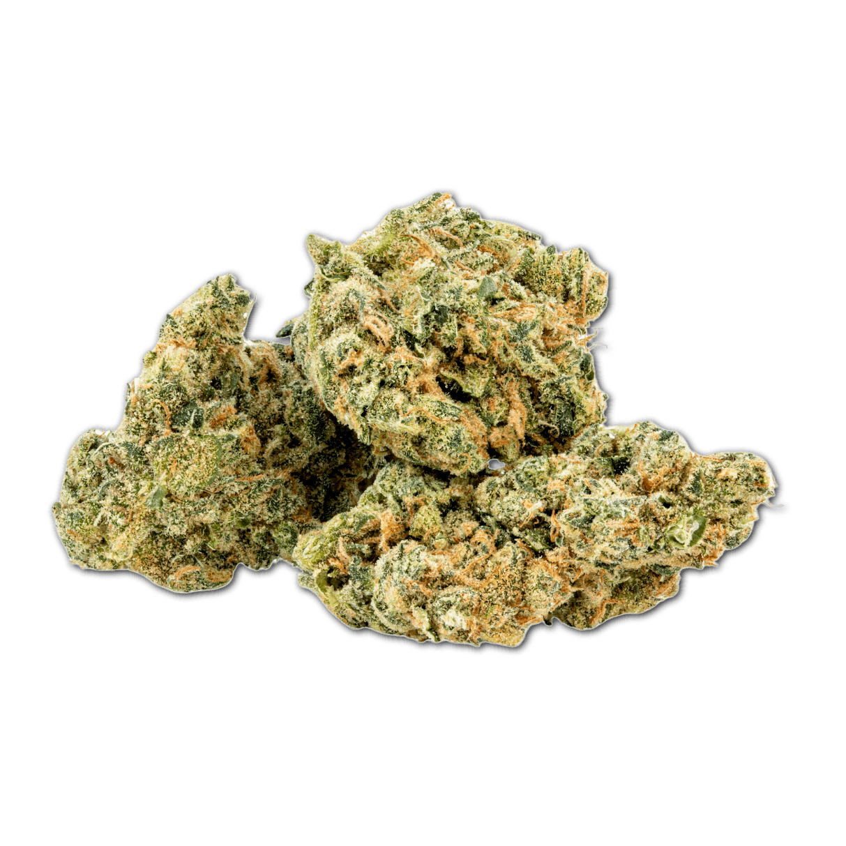 30/1 Amici UL Ultra Limelight