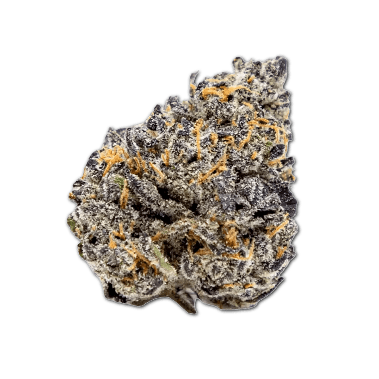 Bathera 25/1 Velvet Glove