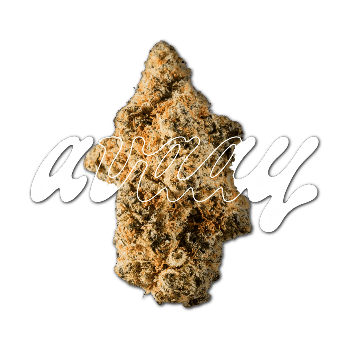 avaay SIGNATURE 28/1 WB Waffle Bites
