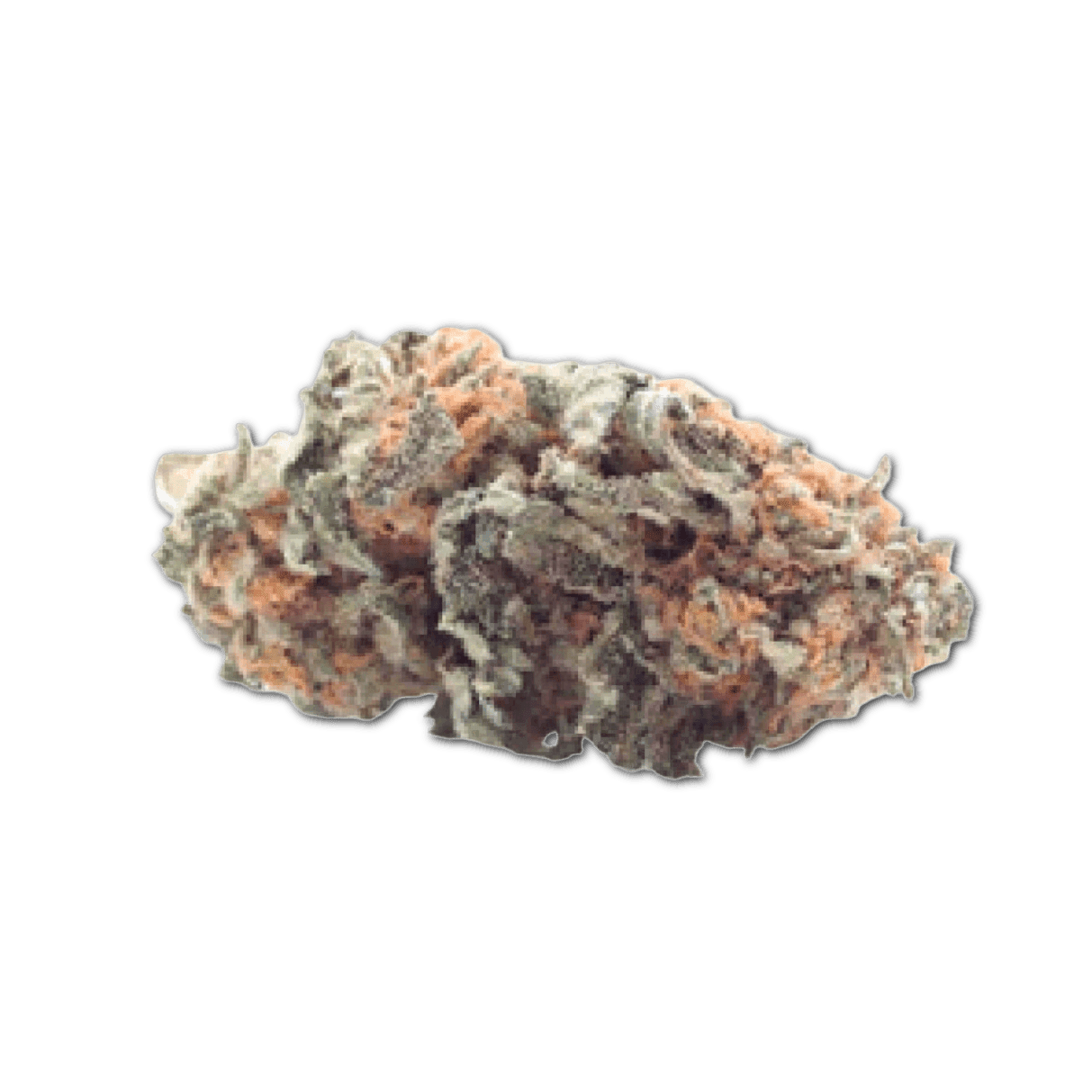 Tilray THC22 Spotlight Porto W Wappa