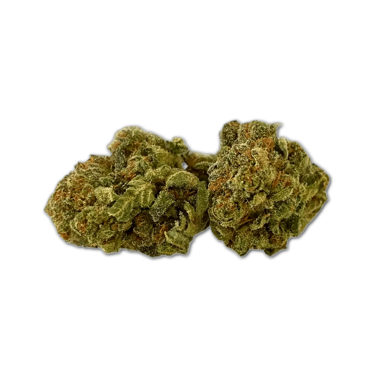 Tilray THC10:CBD10 Warlock No.2