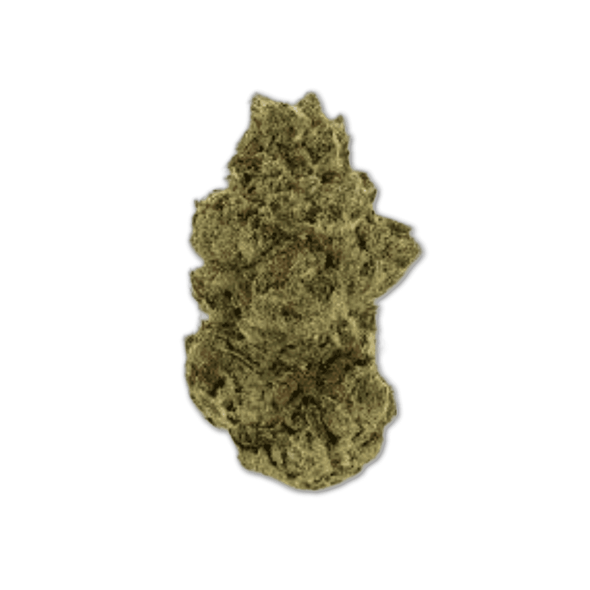 Sibanax Wedding C 23/1