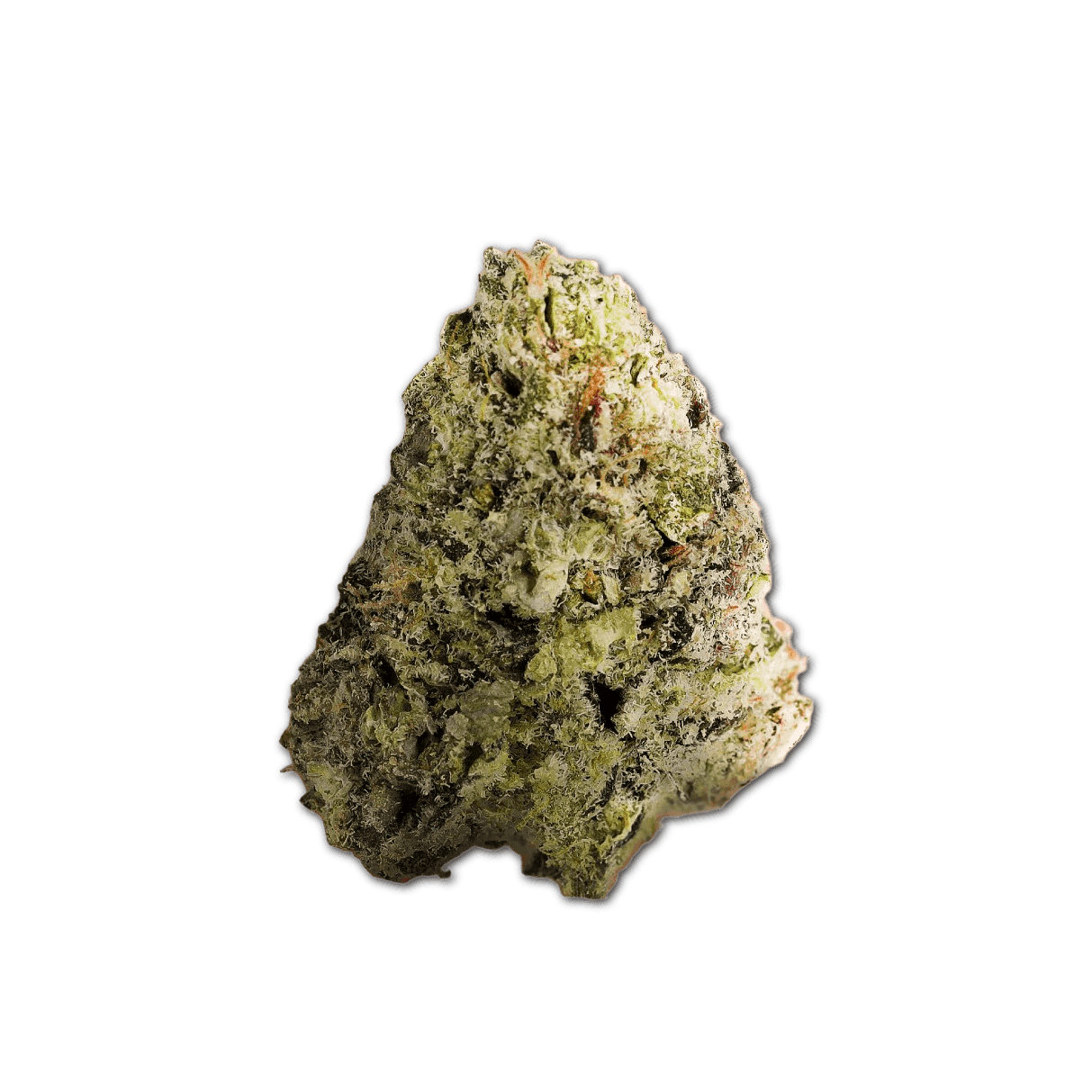 Cannamedical Sativa forte NM