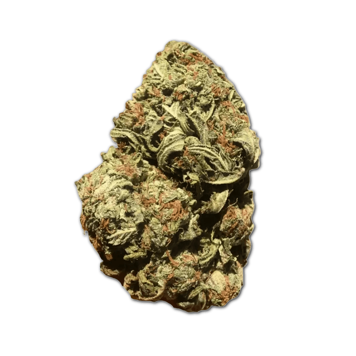 Cannamedical Hybrid forte URY Smalls