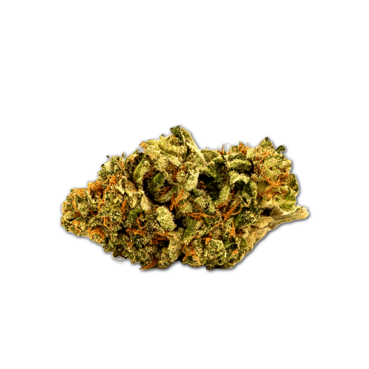 Aphria medium 7 White Widow