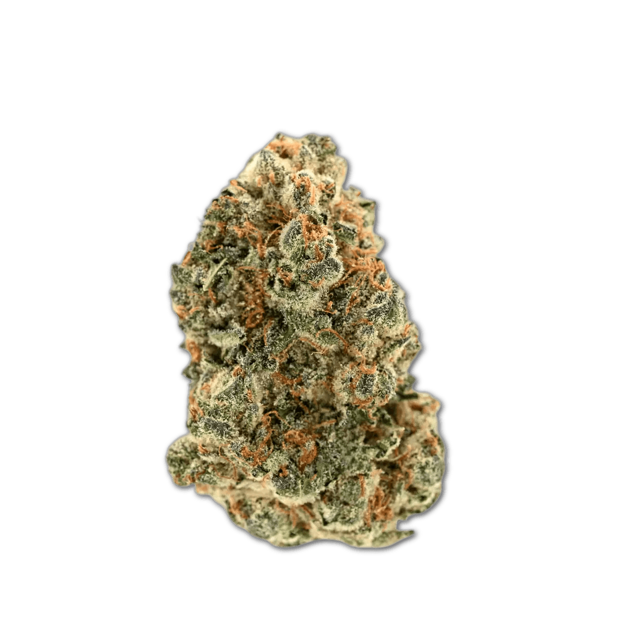 Demecan Craft Luna 31:01 Peechy Keen