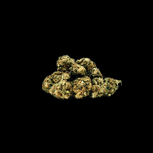 Cannamedical 16/1 Dave's Kush