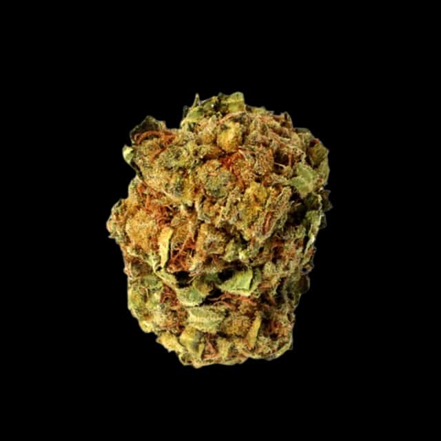 Cannamedical 20/1 Dave's Kush