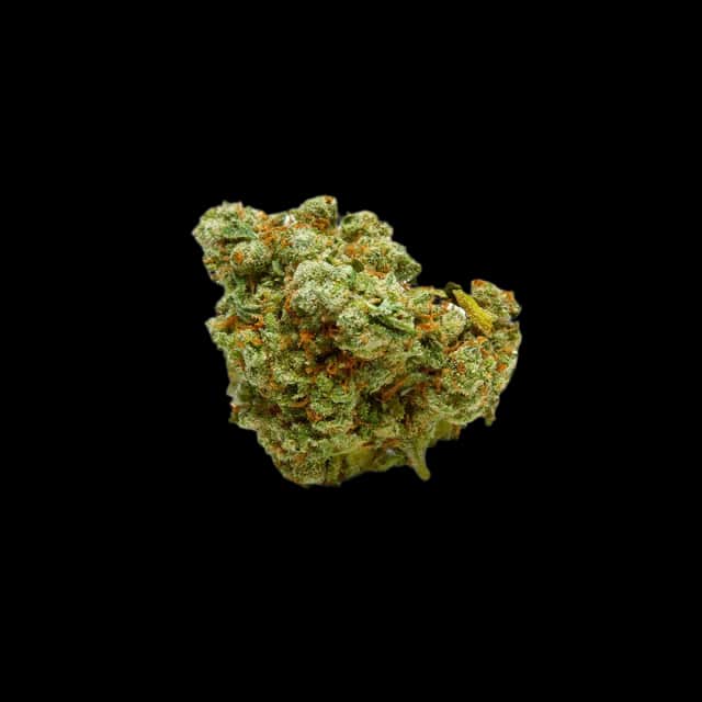 Cannamedical Balanced Forte 10/10 California Orange