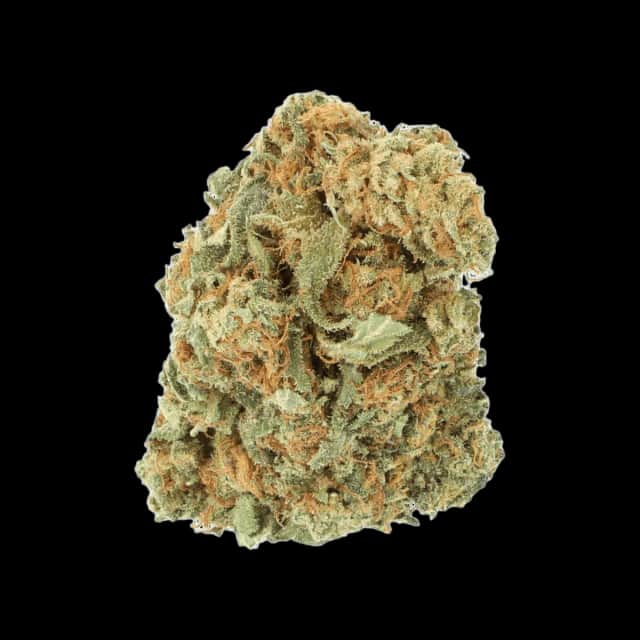 Cannamedical Balanced forte Mango Haze