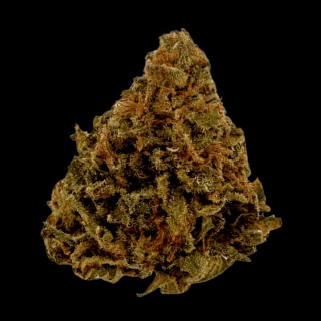 Cannamedical Balanced light 4/7 Cali-O California Orange