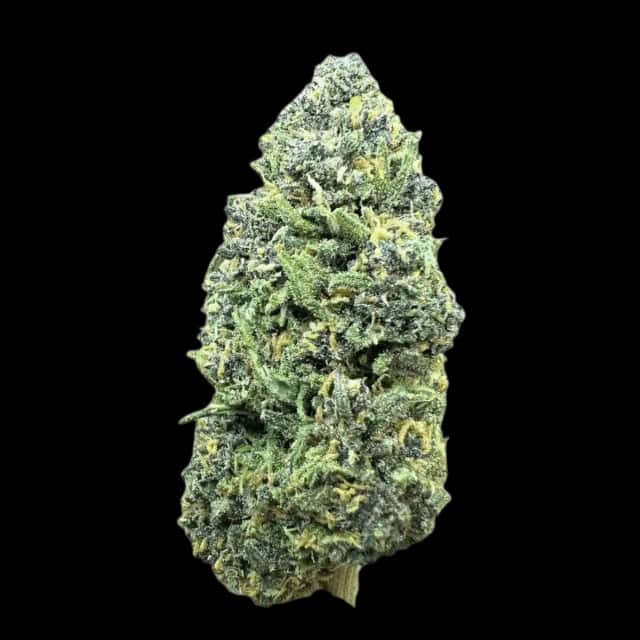 Cannamedical Balanced Ultra 10/10 Libras