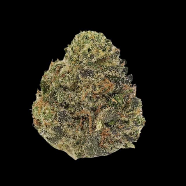 Cannamedical Balanced Ultra 10/14 Libras