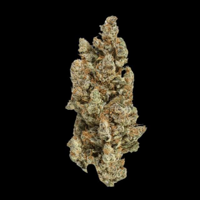 Cannamedical CM 16/1 GRP Grapefruit Gift
