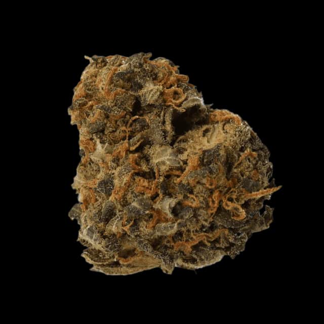 Cannamedical CM 20/1 Karl OG