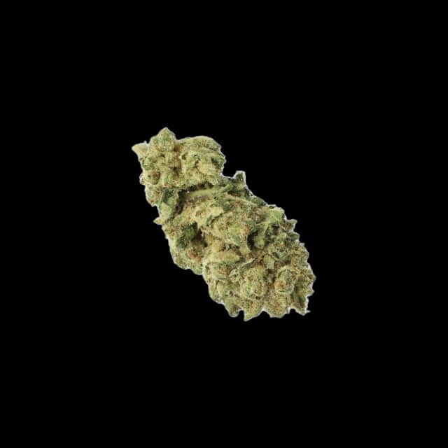 Cannamedical CM 20/1 LLY Legendary Larry