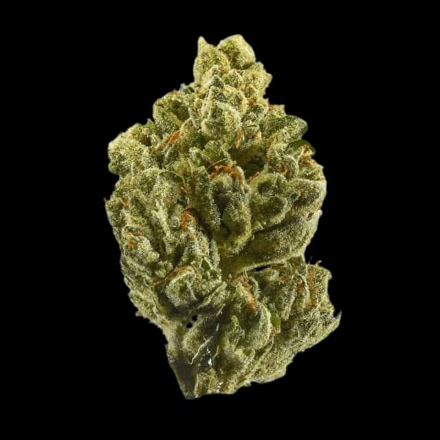 Cannamedical CM 20/1 OG Kush