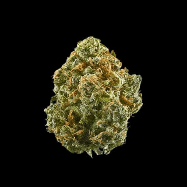 Cannamedical CM 23/1 MC Mandarine Cookies