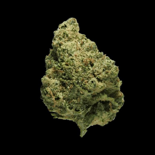 Cannamedical CM 24/1 CRM Creamy Kees No.5