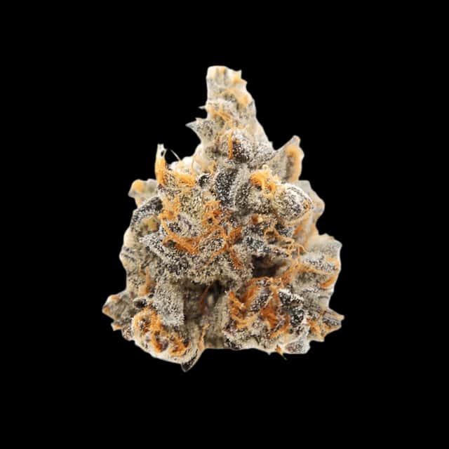 Cannamedical CM 24/1 PG Platinum Grapes