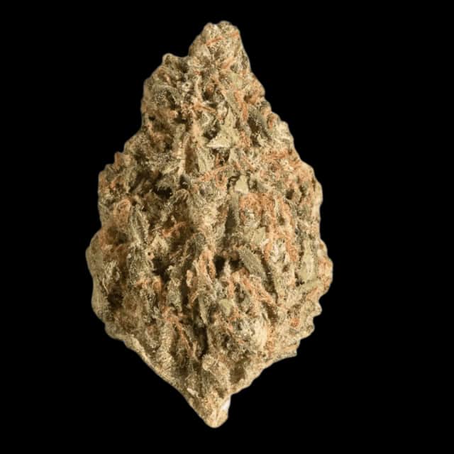 Cannamedical CM 24/1 Rain