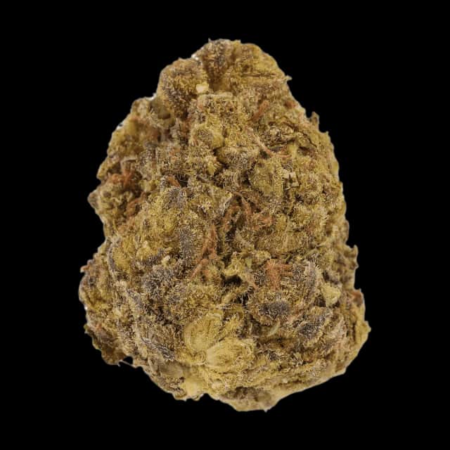 Cannamedical CM 24/1 Rainbow Cookies
