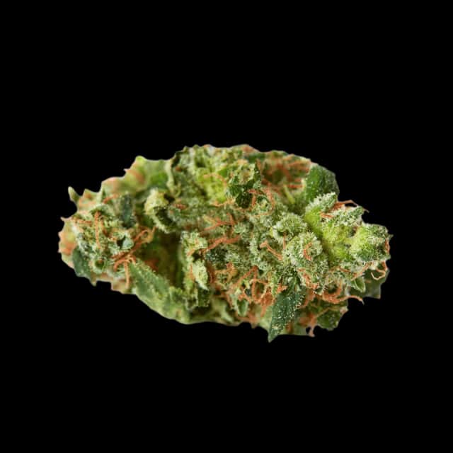 Cannamedical CM 24/1 Spritzer Blue Cookies Spritzer