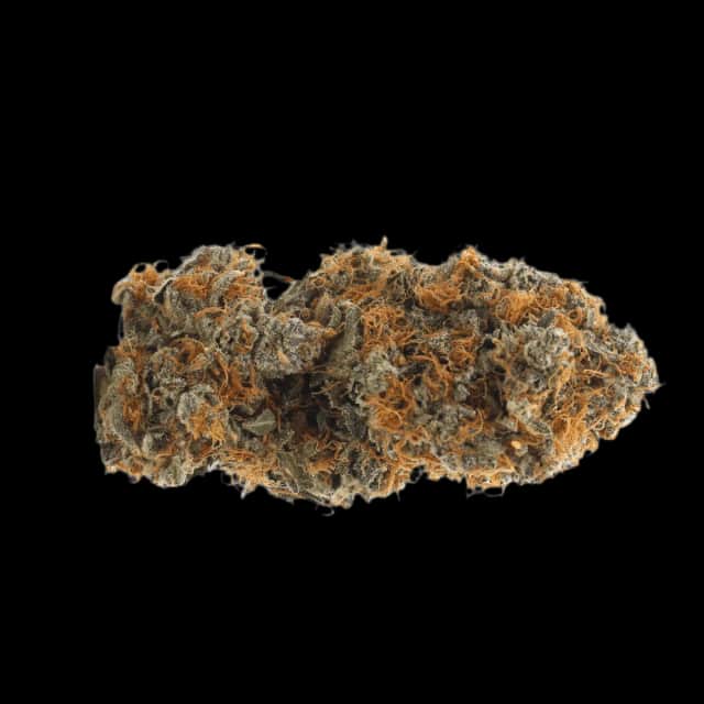 Cannamedical CM 24/1 SUN Sweet Sunrise