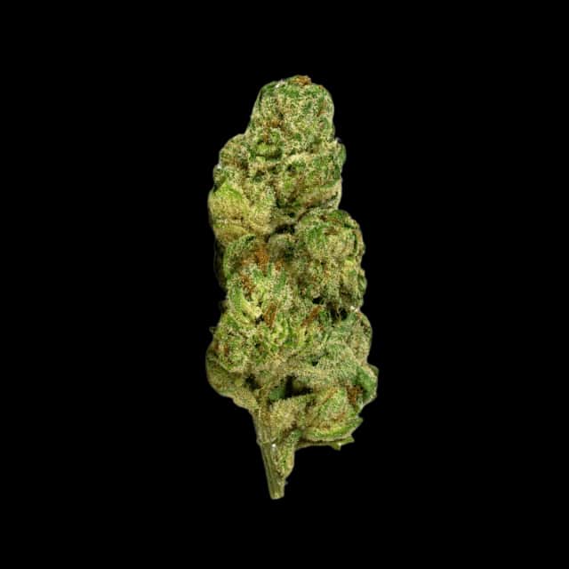 Cannamedical CM 27/1 Gelati Punch