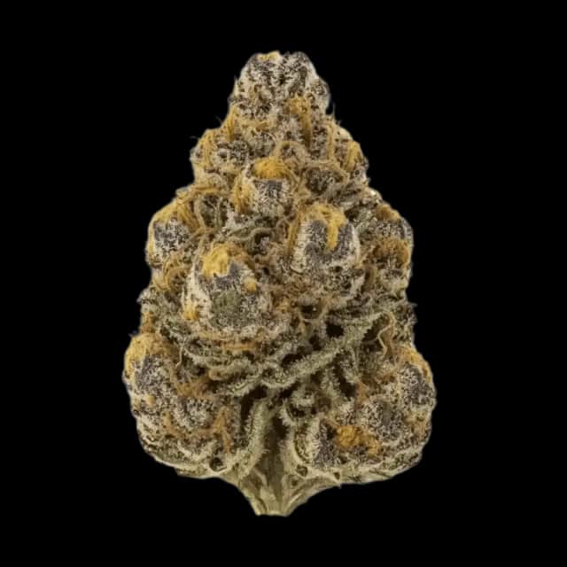 Cannamedical CM 28/1 Craft Lotus