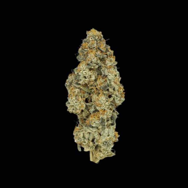 Cannamedical CM 28/1 PO Platinum Oranges
