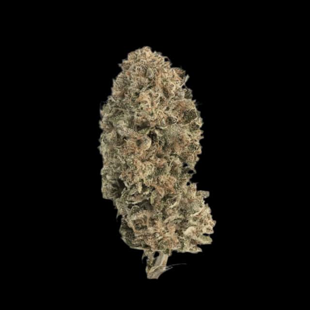 Cannamedical CM 28/1 PODDY Poddy Mouth