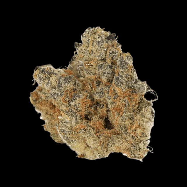 Cannamedical CM 29/1 SPC Space Cake