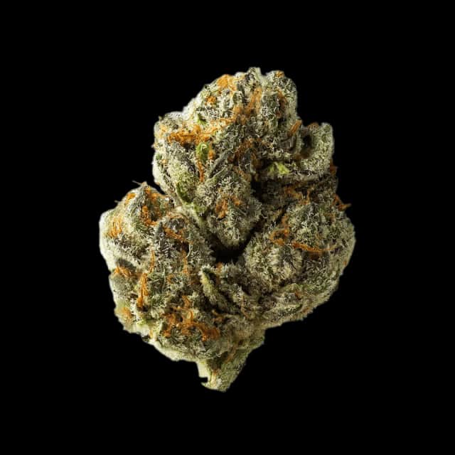 Cannamedical CM 30/1 DM Diamond Mints