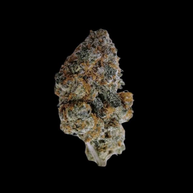 Cannamedical CM 30/1 Ginger Cookies
