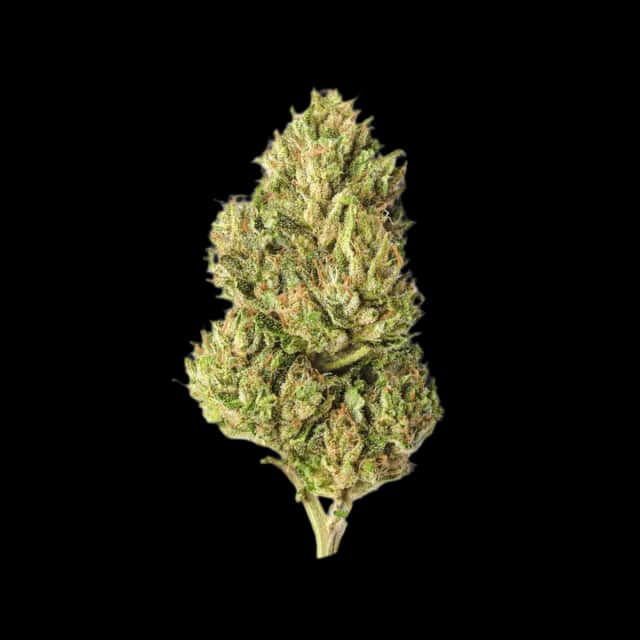 Cannamedical Hybrid classic BC Garlic Truffle